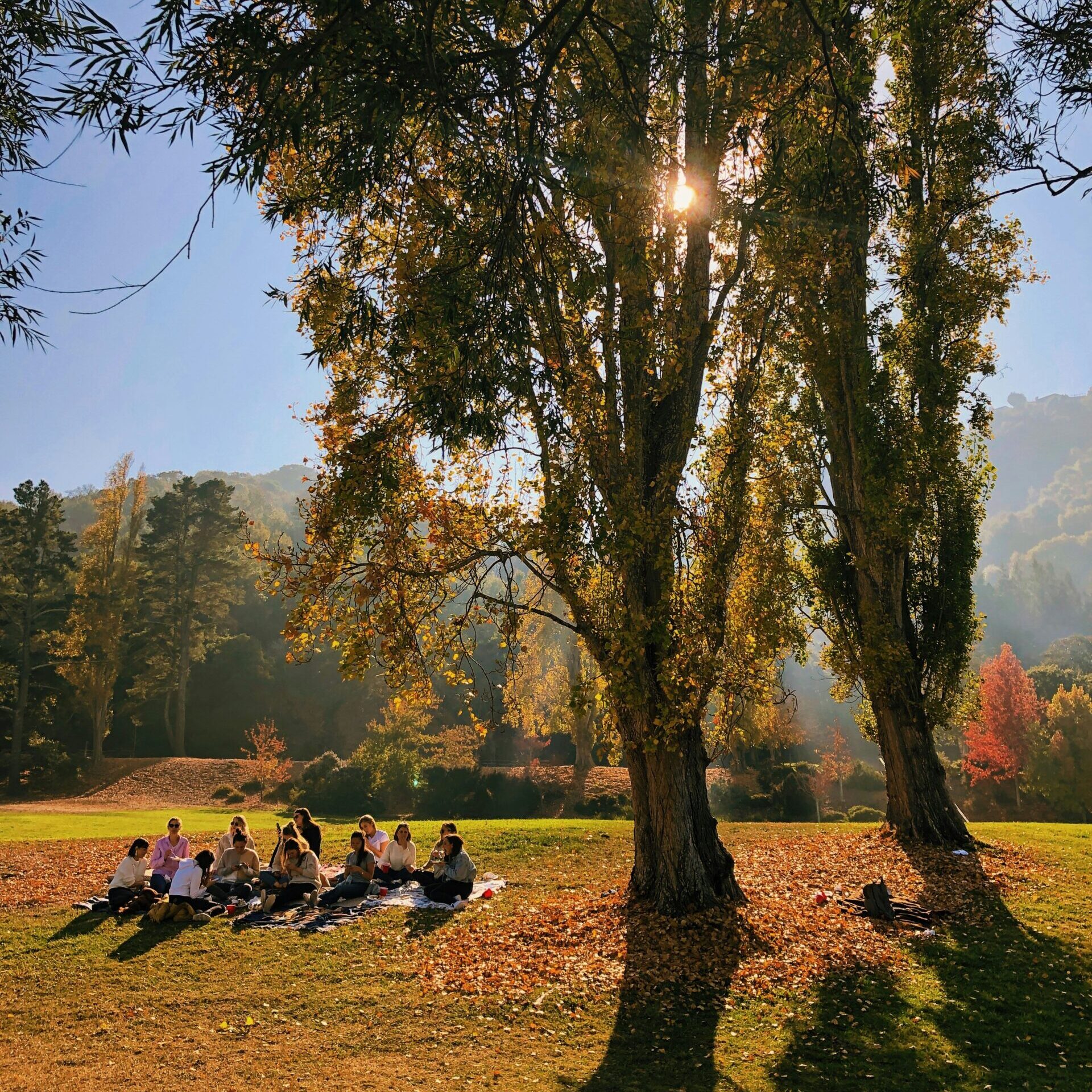 Creators Q4: Crear comunidad