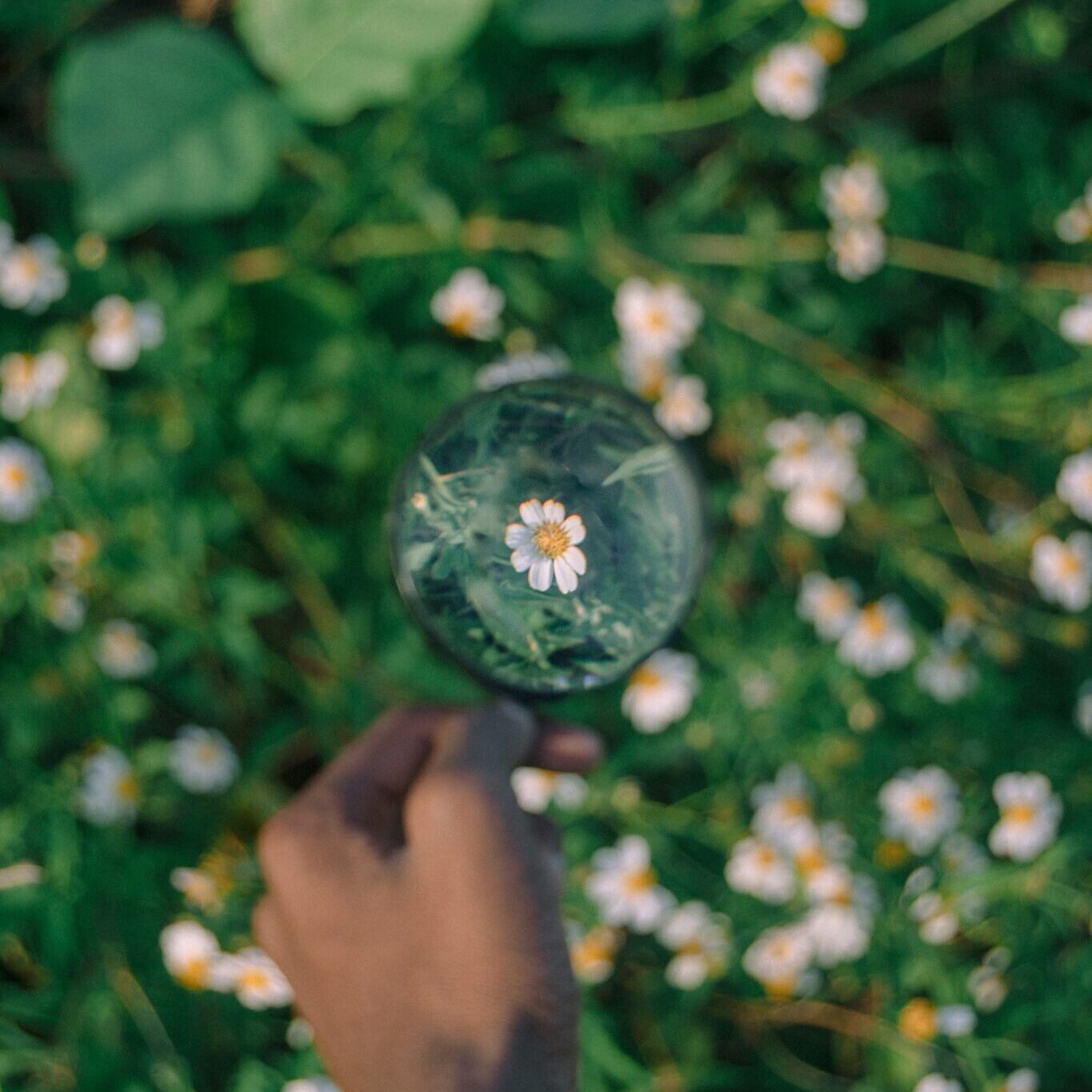 Creators Q1/26: Sistemas & foco